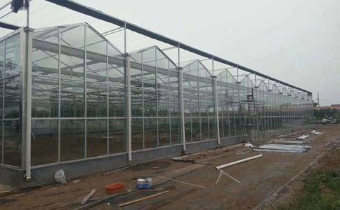 適合植物生長空間的溫室大棚，要這么建造
